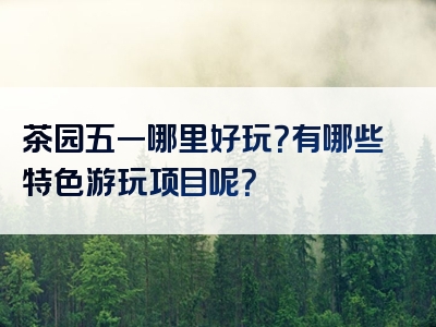 茶园五一哪里好玩？有哪些特色游玩项目呢？