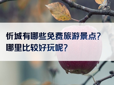 忻城有哪些免费旅游景点？哪里比较好玩呢？