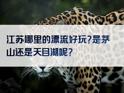 江苏哪里的漂流好玩？是茅山还是天目湖呢？