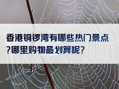 香港铜锣湾有哪些热门景点？哪里购物最划算呢？