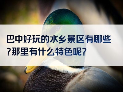 巴中好玩的水乡景区有哪些？那里有什么特色呢？