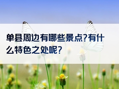单县周边有哪些景点？有什么特色之处呢？