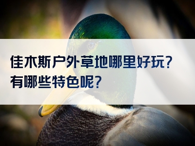 佳木斯户外草地哪里好玩？有哪些特色呢？