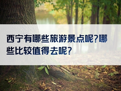 西宁有哪些旅游景点呢？哪些比较值得去呢？