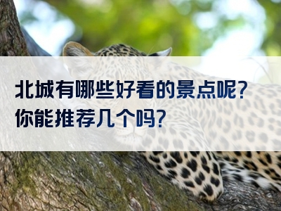 北城有哪些好看的景点呢？你能推荐几个吗？