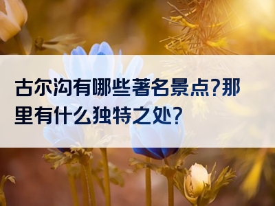 古尔沟有哪些著名景点？那里有什么独特之处？