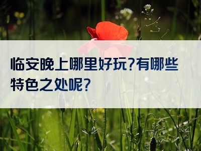 临安晚上哪里好玩？有哪些特色之处呢？