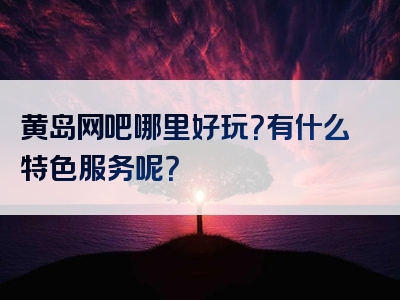 黄岛网吧哪里好玩？有什么特色服务呢？