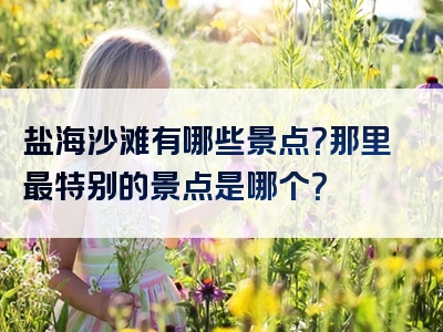 盐海沙滩有哪些景点？那里最特别的景点是哪个？