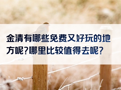 金清有哪些免费又好玩的地方呢？哪里比较值得去呢？