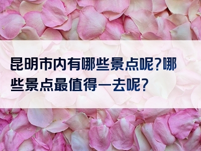 昆明市内有哪些景点呢？哪些景点最值得一去呢？