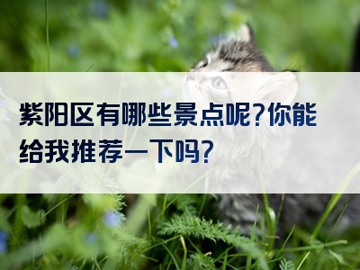 紫阳区有哪些景点呢？你能给我推荐一下吗？