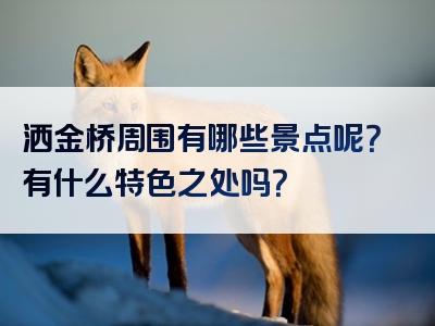 洒金桥周围有哪些景点呢？有什么特色之处吗？