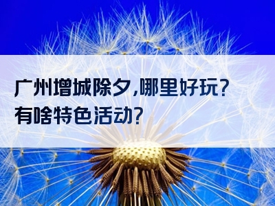 广州增城除夕，哪里好玩？有啥特色活动？