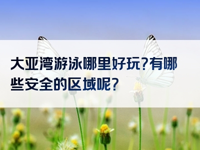 大亚湾游泳哪里好玩？有哪些安全的区域呢？
