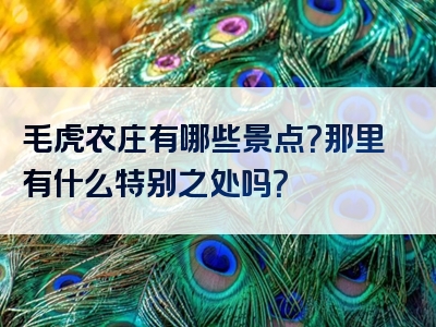 毛虎农庄有哪些景点？那里有什么特别之处吗？
