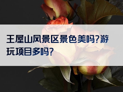 王屋山风景区景色美吗？游玩项目多吗？