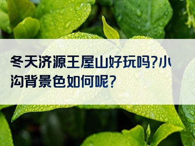 冬天济源王屋山好玩吗？小沟背景色如何呢？