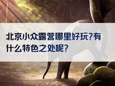 北京小众露营哪里好玩？有什么特色之处呢？
