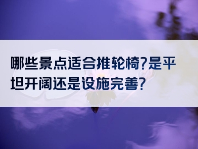 哪些景点适合推轮椅？是平坦开阔还是设施完善？