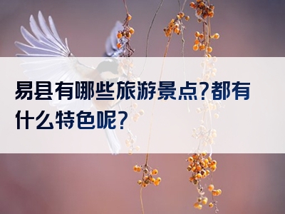 易县有哪些旅游景点？都有什么特色呢？