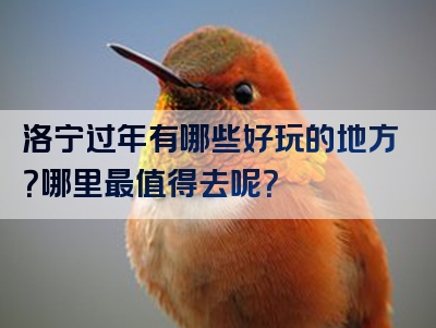 洛宁过年有哪些好玩的地方？哪里最值得去呢？