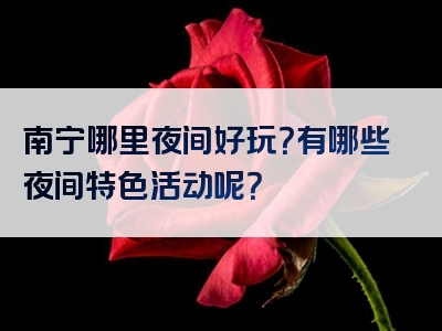 南宁哪里夜间好玩？有哪些夜间特色活动呢？