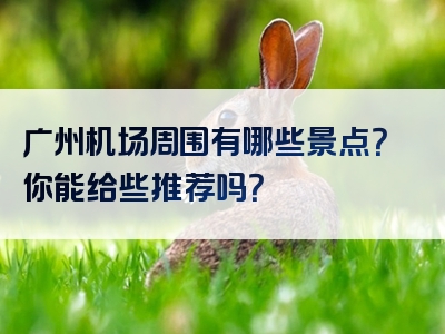 广州机场周围有哪些景点？你能给些推荐吗？