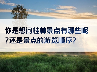 你是想问桂林景点有哪些呢？还是景点的游览顺序？