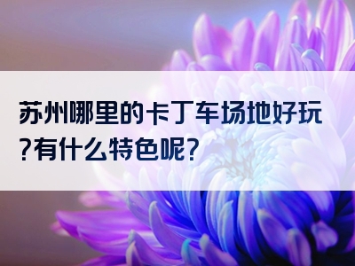 苏州哪里的卡丁车场地好玩？有什么特色呢？
