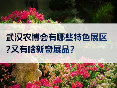 武汉农博会有哪些特色展区？又有啥新奇展品？