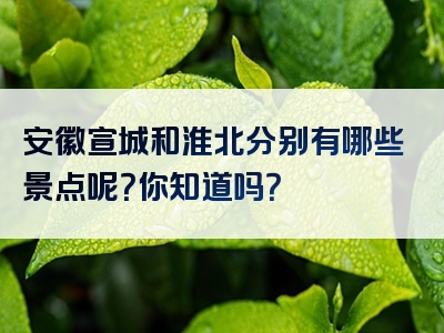 安徽宣城和淮北分别有哪些景点呢？你知道吗？