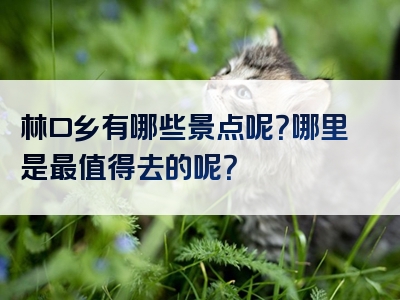林口乡有哪些景点呢？哪里是最值得去的呢？