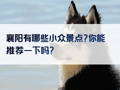襄阳有哪些小众景点？你能推荐一下吗？