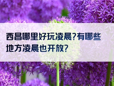西昌哪里好玩凌晨？有哪些地方凌晨也开放？