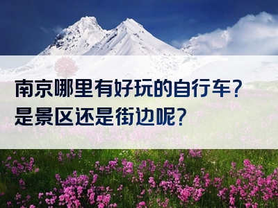 南京哪里有好玩的自行车？是景区还是街边呢？