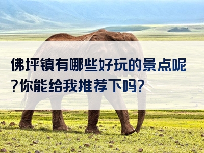 佛坪镇有哪些好玩的景点呢？你能给我推荐下吗？