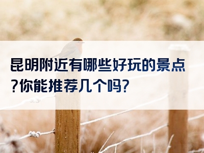 昆明附近有哪些好玩的景点？你能推荐几个吗？