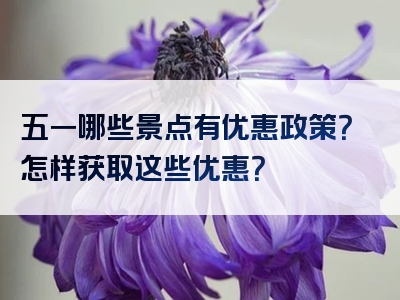 五一哪些景点有优惠政策？怎样获取这些优惠？
