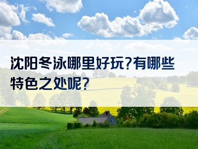 沈阳冬泳哪里好玩？有哪些特色之处呢？