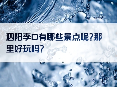 泗阳李口有哪些景点呢？那里好玩吗？