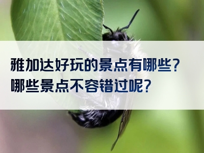 雅加达好玩的景点有哪些？哪些景点不容错过呢？