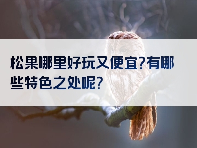 松果哪里好玩又便宜？有哪些特色之处呢？