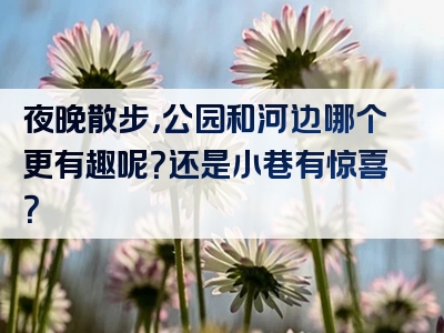 夜晚散步，公园和河边哪个更有趣呢？还是小巷有惊喜？