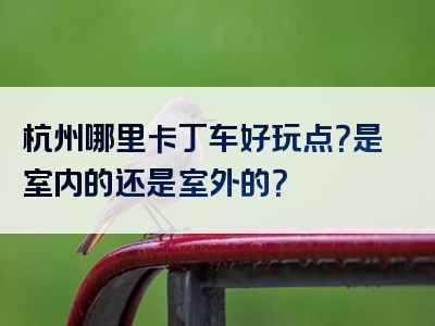 杭州哪里卡丁车好玩点？是室内的还是室外的？