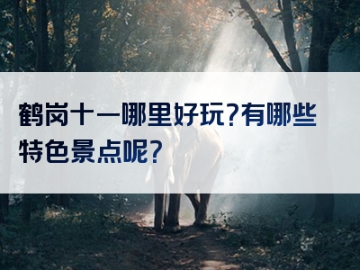 鹤岗十一哪里好玩？有哪些特色景点呢？