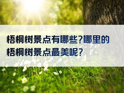 梧桐树景点有哪些？哪里的梧桐树景点最美呢？