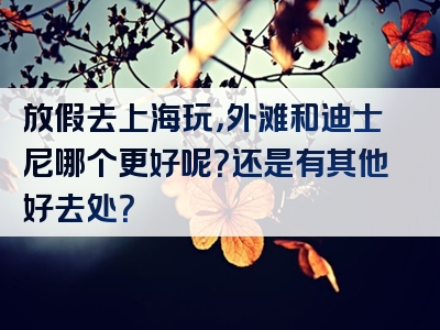 放假去上海玩，外滩和迪士尼哪个更好呢？还是有其他好去处？