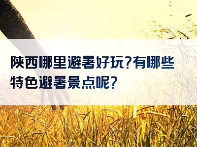 陕西哪里避暑好玩？有哪些特色避暑景点呢？