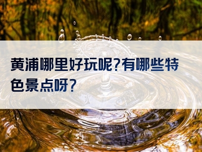 黄浦哪里好玩呢？有哪些特色景点呀？